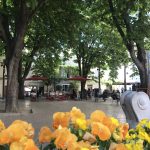 centre ancien de saint remy de provence